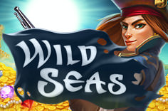 Wild Seas